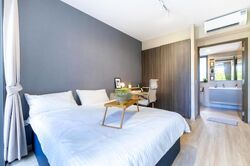 The Visionaire (D27), Condominium #480396061